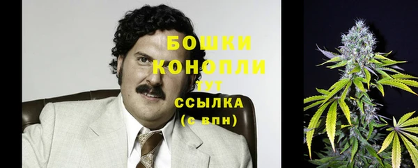 твердый Осташков