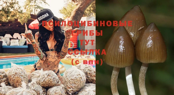 а пвп мука Заполярный