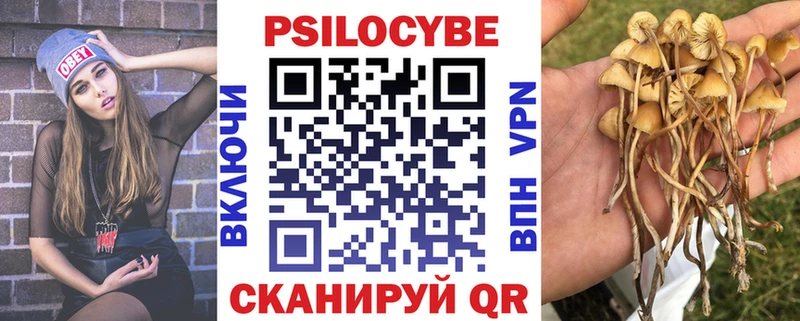 кракен зеркало  где купить   Свирск  Галлюциногенные грибы мухоморы 